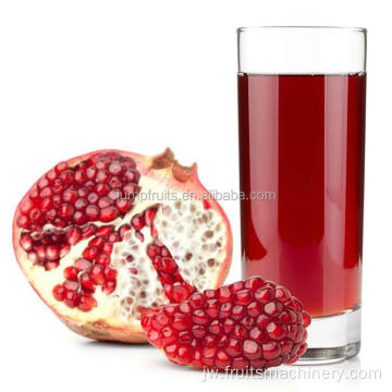 Garis pangolahan jus jus jus pomegranate khusus